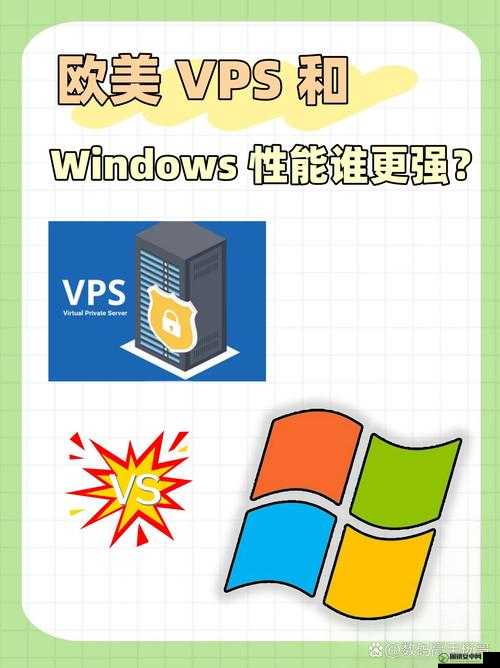 Vpswindows 学生 18 ：探索未知的知识领域新征程