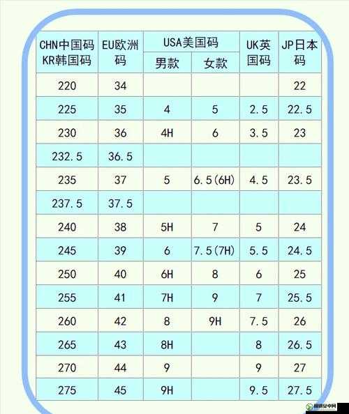 欧洲尺码日本尺码专线中老年新款上市：买家的专属时尚之选